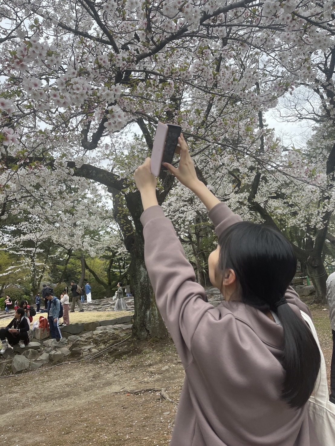 メンバーの写真