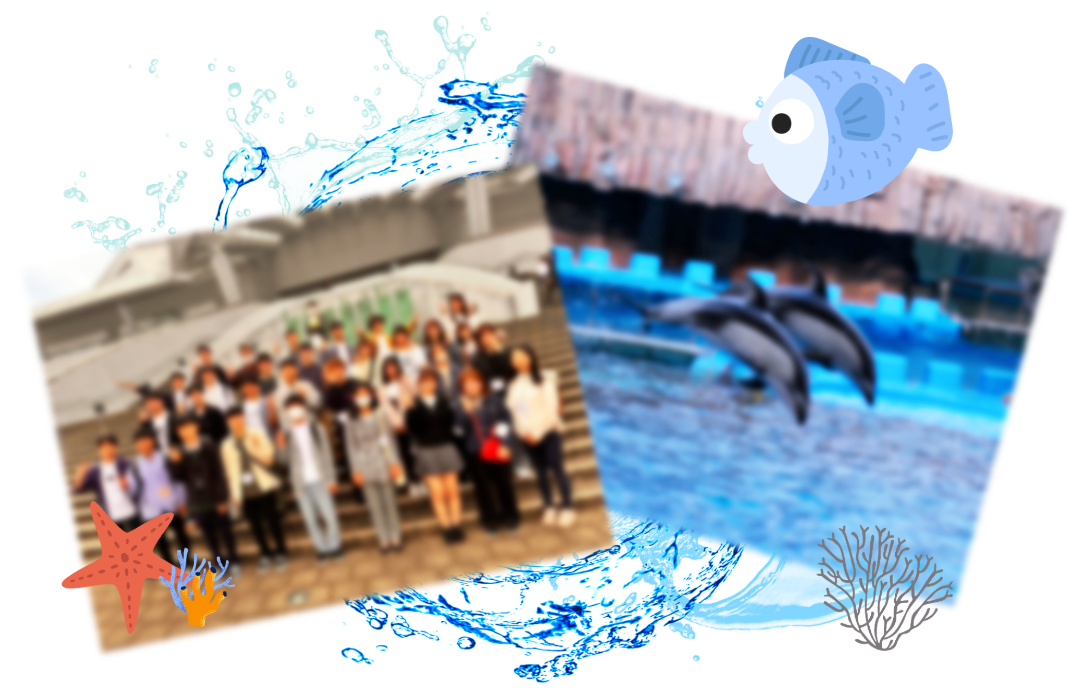 水族館企画の様子