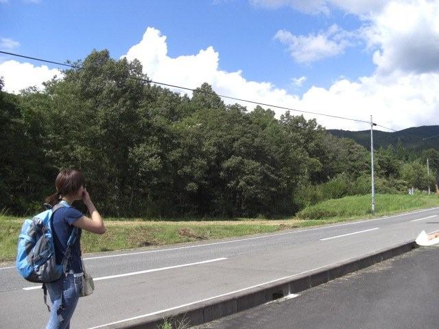 良い天気♪
